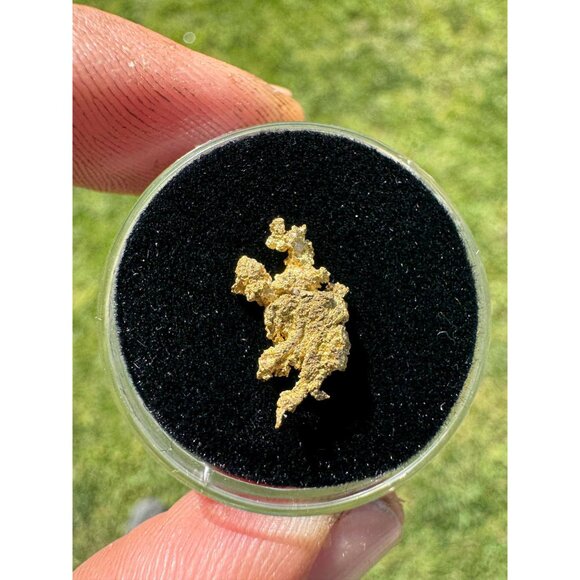 California Native Gold Crystal - 0.77 grams - Picture 3 of 5